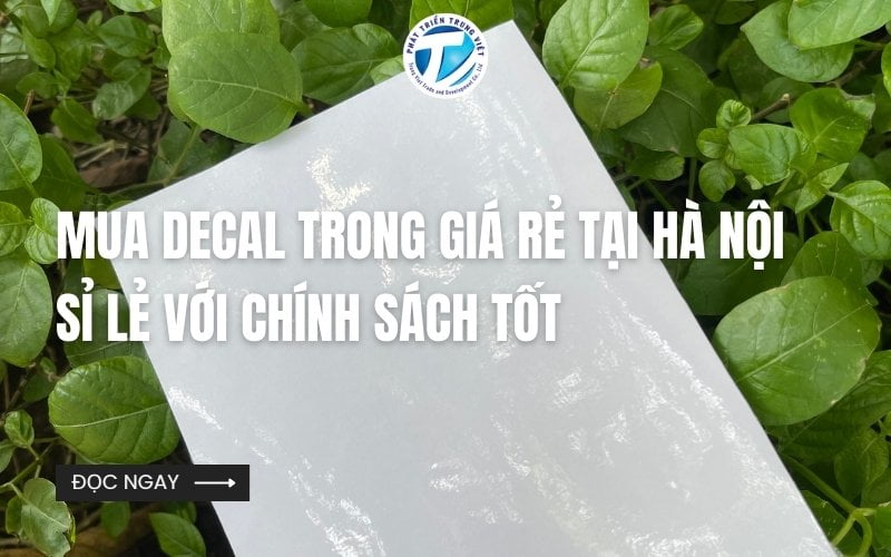 Decal Trong Là Gì? Ứng Dụng Thực Tiễn Của Decal Trong&nbsp;
